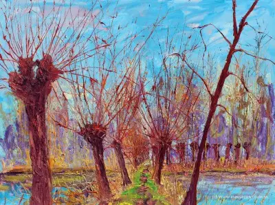 Nouvel Arrivage B-put pril voorjaar