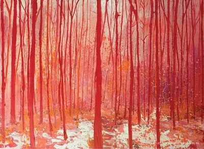 Oo-bos sneeuw rood Livraison Express