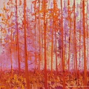 Affaire À Saisir Schipbosje Oranje