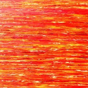 Paiement Sécurisé Reisspiegel 2012