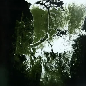 Heimat serie: Boom 3, rots zwart Offre Spéciale