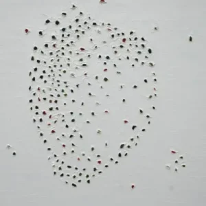 Reisimpressie Spitsbergen I Super Prix