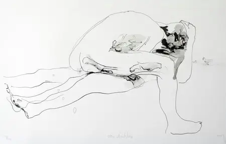 Certifié Liggend VIII