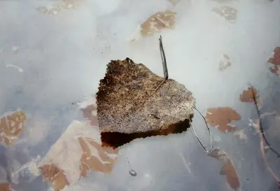 Meilleure Vente Zonder titel III