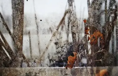 Zonder titel IX Offre Exclusive