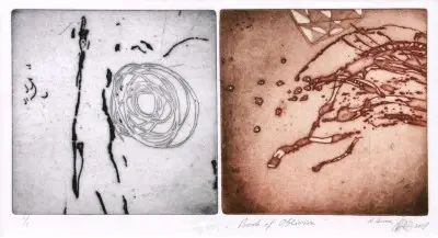 Book of Oblivion II Bon Marché