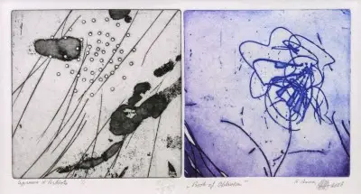 Offre Exclusive Book of Oblivion VI