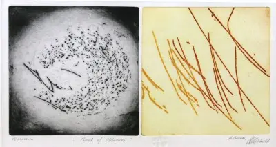 Offre Limitée Book of Oblivion VIII