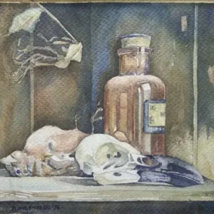 Satisfait Ou Remboursé Zonder titel 1978