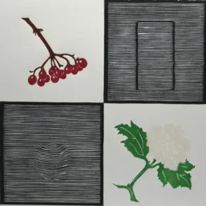 4 jaargetijden Commander Vite