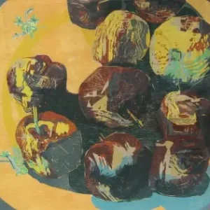 Paiement Sécurisé Schaal met rotte appels