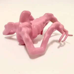 Livraison Express Obbe van der weide, Kafka 1roze