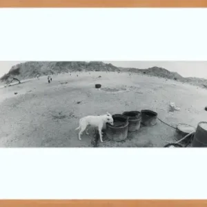 Zbigniew kosc, Thirst 1998 2002 Offre Spéciale