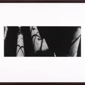 Zbigniew kosc, Temple of isis in philea 92 Commander Maintenant