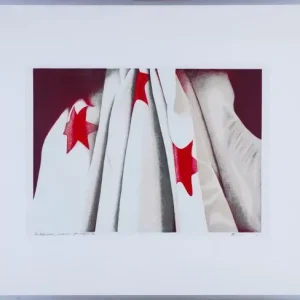 Vente Flash J k van stekelenburg, Carnaval i 5 20 1980