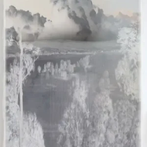 Achat Immédiat Barbara de vries, Inner landscape 2015