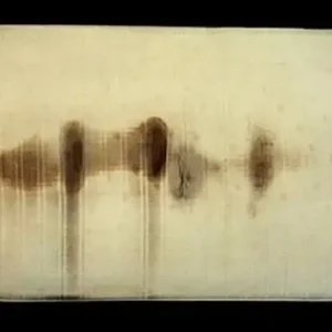 Achat Immédiat Sarah engelhard, Zonder titel