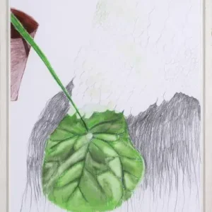 Vente Flash Petra de vries, Zonder titel 12 1999