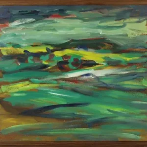 Achetez Aujourd’hui Evert slegers, Salagou