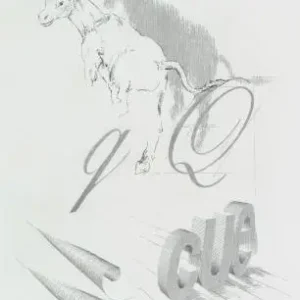 Achat Immédiat Fons de baedts, J ass cue