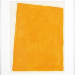 Victor kobec, Verandering oranje versie 72 Bon Plan