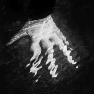 Wiesje peels, Nest wiesje peels trijntje keijser 2020 Prix Réduit