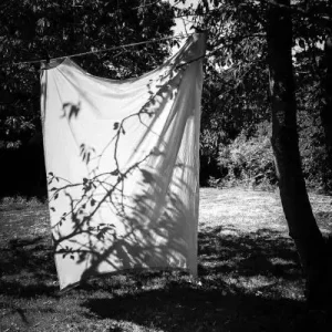 Wiesje peels, Nest wiesje peels trijntje keijser 2020 Expédié Aujourd’hui