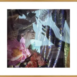 Acheter En Ligne Cornelia nauta, La magicienne 02