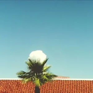 Willem de boer van groningen, Nevada cloud Solde