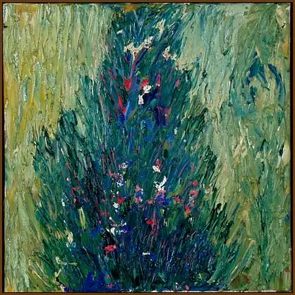 Achat Immédiat Hein van leuwen, Vliegeden 1967