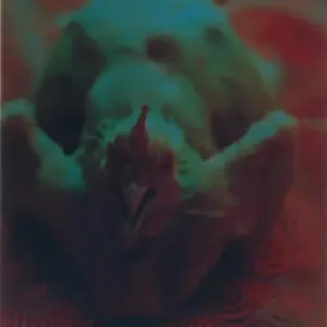 Achat Immédiat Erik jan kalkman, Zonder titel 4