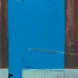 Acheter En Ligne Wil ferwerda, Blauw