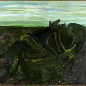 Vygantas paukste, Troubles 1995 Quantité Limitée