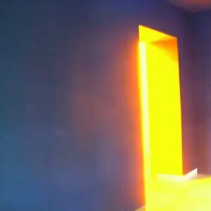 Acheter Direct Harrie blommesteijn, Heavens door