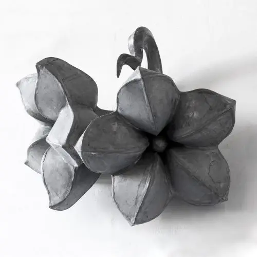 Acheter Direct Mary geradts, Hecht ii