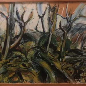 A b a van de pas, Bos in devon 1970 Offre Exclusive