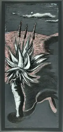 Achat Immédiat Michele tabor, Aloe met schaduw 2003