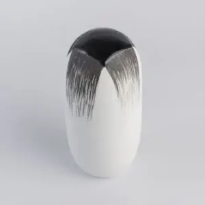 Wil van blokland, Capsule Solde