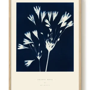 Vente Directe Nat Michele - Palace Gate - PSTR studio Kunst Poster