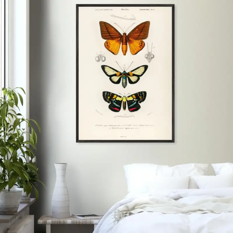 Achetez Aujourd’hui Artfulprints Poster Charles Dessalines d'Orbigny - Collection of moths - 70x100 cm - Oranje