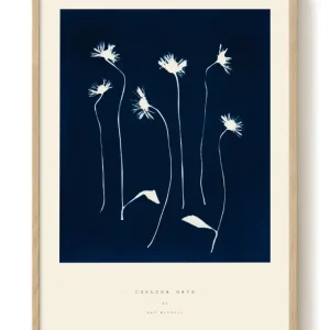 Vente Directe Nat Michele - Chelsea Gate - PSTR studio Kunst Poster