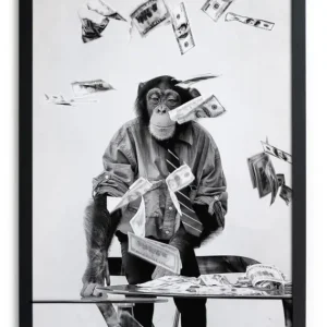 Zwarte lijst met kader 40x30 dollar aap Bon Marché