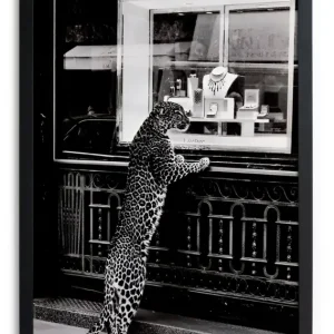 Zwarte lijst met kader 40x30 Cheetah Pas Cher