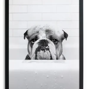 Zwarte lijst met kader 40x30 Bulldog in het bad Promotion Saisonnière