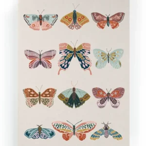 Acheter Direct Canvas 60x40 Vlinders
