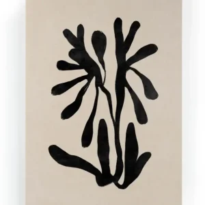 Acheter Direct Canvas 60x40 Gras