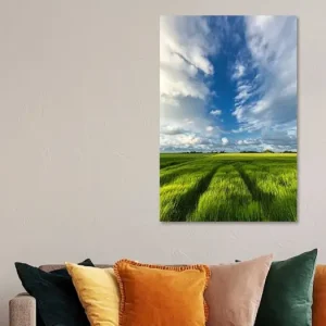 Zomerse luchten boven de graanvelden in Groningen van Bas Meelker - NL541564M13S50x75 Commander Maintenant