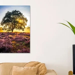 Zon achter de boom van Remco Piet - NL651116M13S60x80 Petit Prix