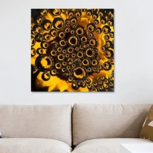 Zomers gevoel: Gele zonnebloem door druppels heen (vierkant) van Marjolijn van den Berg - NL429482M13S60x60 Commander Maintenant