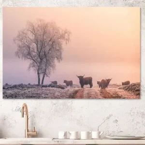 Winter op de Veluwe van Niels Barto - NL329316M13S75x50 Commander Vite